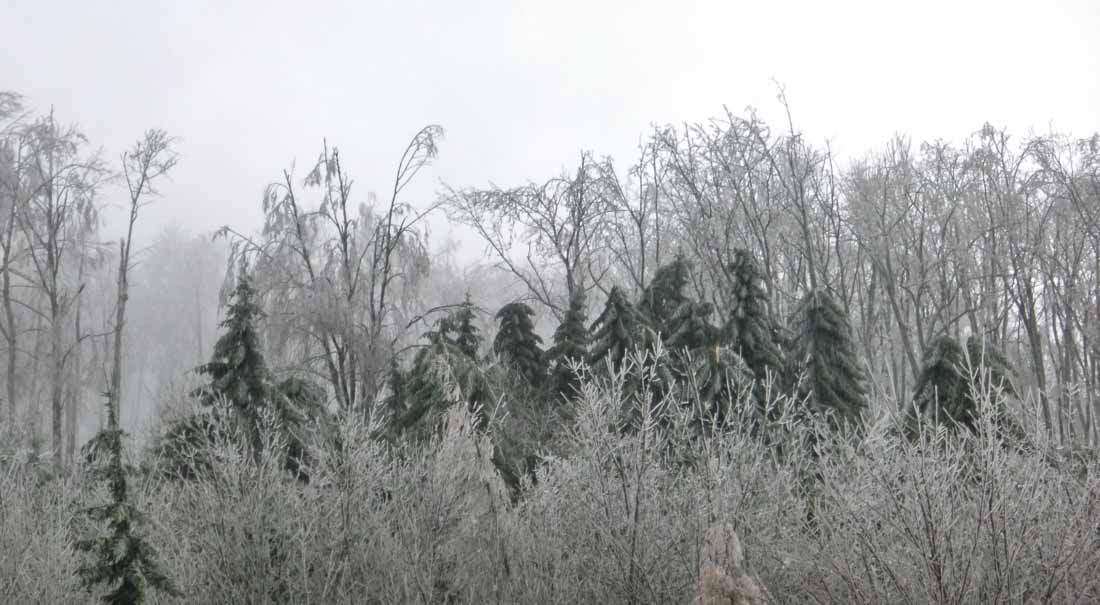 eisneu-0-2