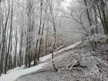 2015-01-24 09.19.32-2