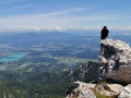 Bergdohle am Mittagskogel