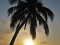 jamaika