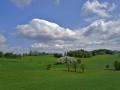 Obstblüte und Cumuli