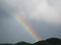 Regenbogen