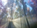 Lichtbechung
