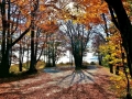 Licht und Schatten