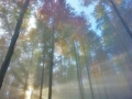 Lichtbrechung