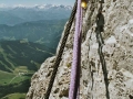 Königsjodler