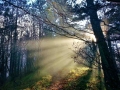 Lichtbrechung