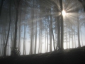 Lichtbechung