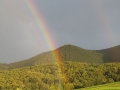 regenbogen
