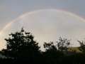 regenbogen