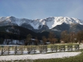 Schneeberg von Losenheim