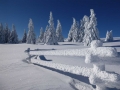 Winterstimmung auf der Reisalpe