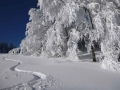 Winterstimmung auf der Reisalpe