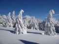 Winterstimmung auf der Reisalpe