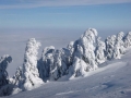 Winterstimmung auf der Reisalpe