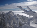 Winterstimmung auf der Reisalpe