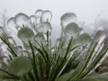 gefrierender Regen