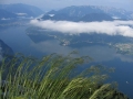 Taunsee