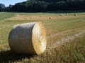 Strohballen