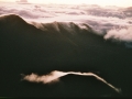 hawaii