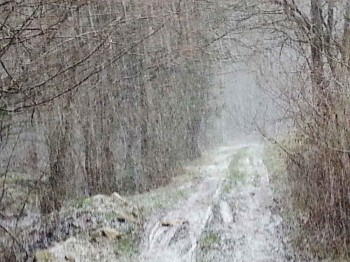 2015-04-06 10.49.59-2