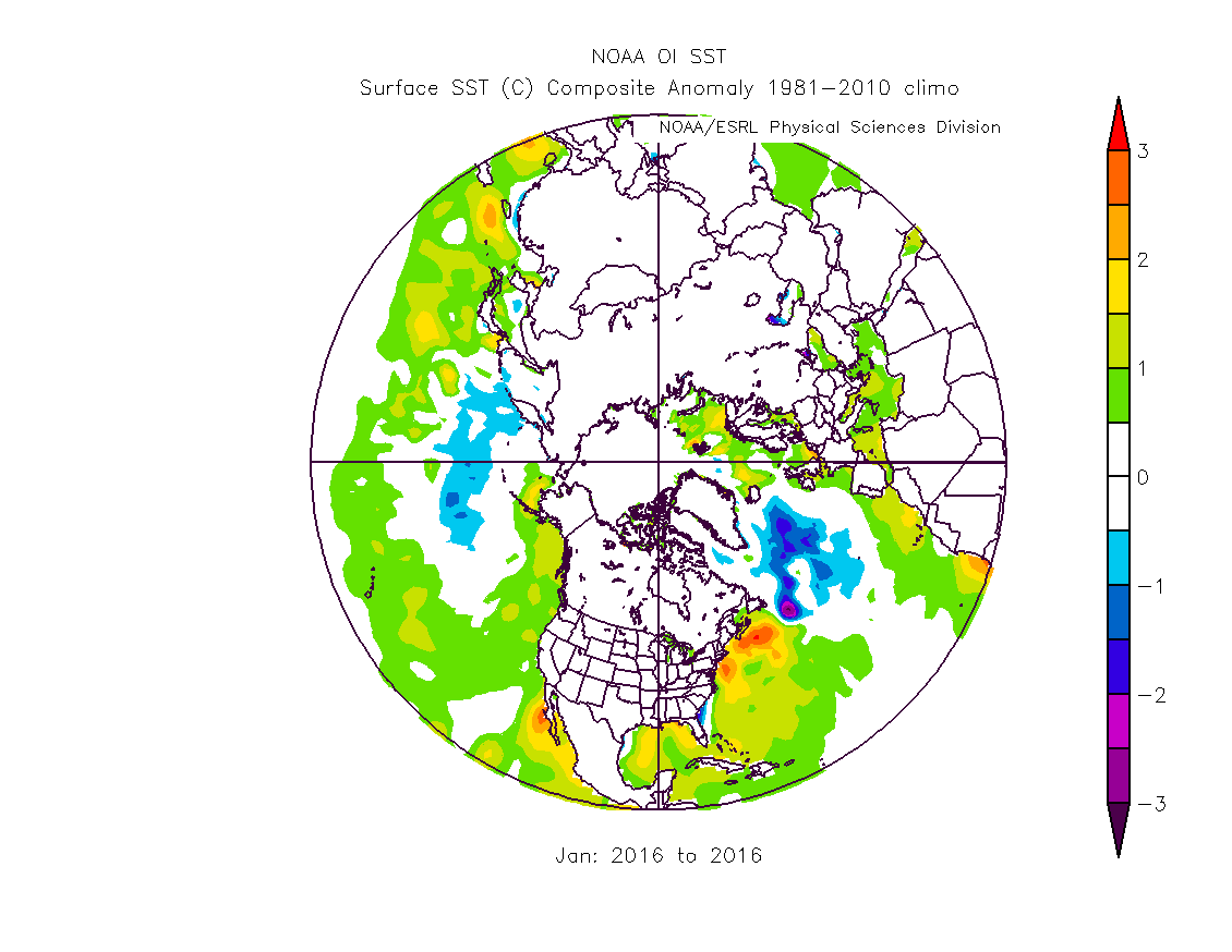 01.03.2016.winter.sst.anomaly
