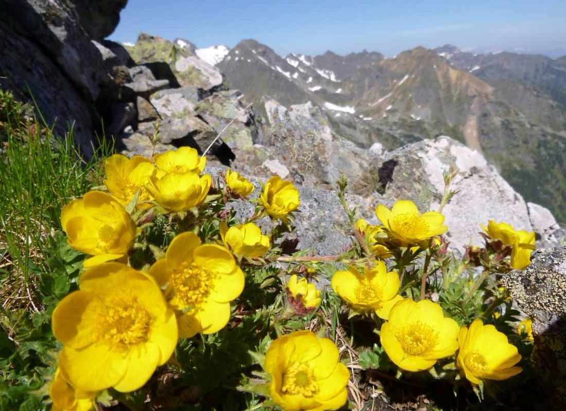 06.2013.landwiersee.5-2